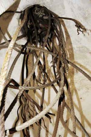 taiguara-alves-giannotti-installazione-albero-potato-02