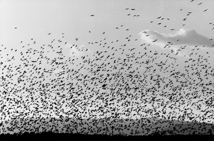 mostra-cascina-gen-2017